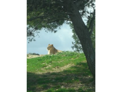 Holiday apartment Les Villas de l' OASIS (Nudist) - Environment photo 30