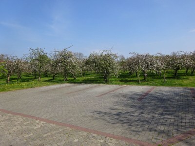 Holiday apartment Große Ferienwohnung Südterrasse in Sandstrandnähe der Elbe - Outdoor photo 11