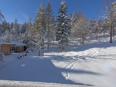 Holiday apartment 3-room apartment TIROL in the Wildsee House - Outdoor photo 12