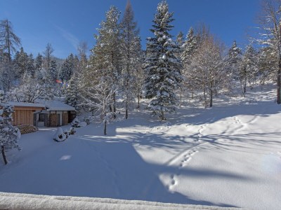 Holiday apartment 3-room apartment TIROL in the Wildsee House - Environment photo 34