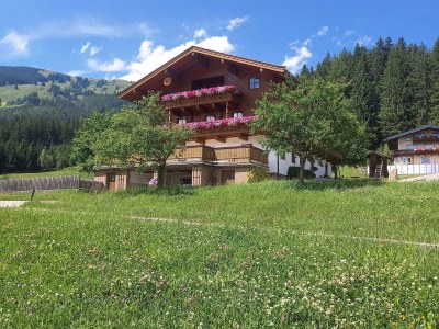Holiday apartment Bergliebe Schranzlhof - Outdoor photo 9