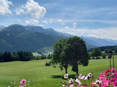 Holiday apartment Bergliebe Schranzlhof - Outdoor photo 16