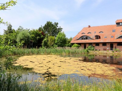 Apartment Besondere Ferienwohnung Bibliothek in Buschhagen - Outdoor photo 9