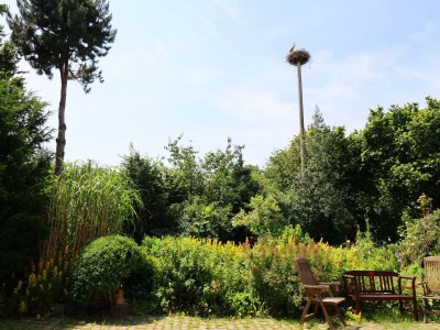 Apartment Besondere Ferienwohnung Bibliothek in Buschhagen - Outdoor photo 11