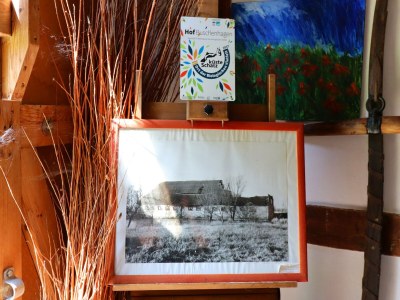 Apartment Besondere Ferienwohnung Bibliothek in Buschhagen - Outdoor photo 35