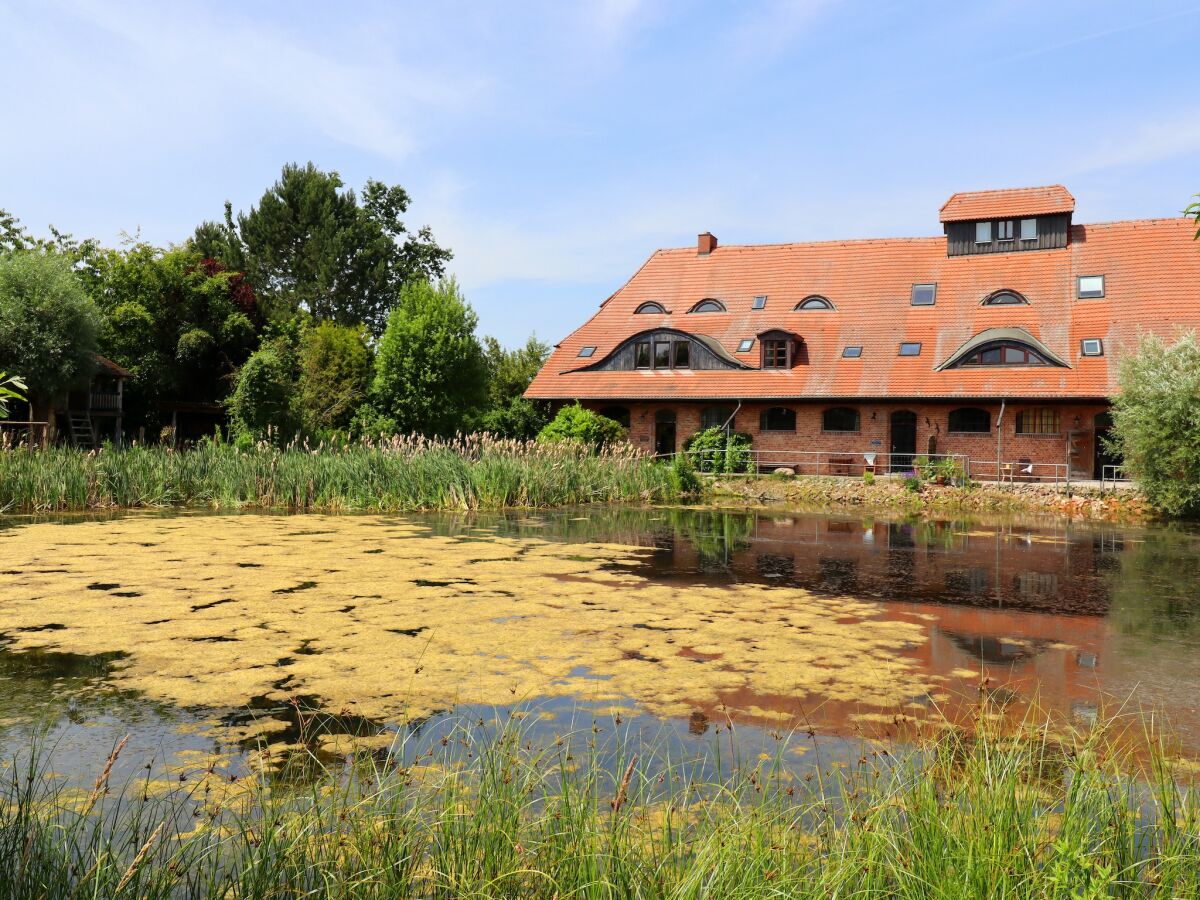 Apartment Buschenhagen Rustic Getaway - Outdoor photo 5