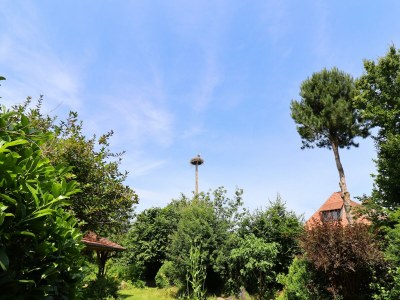 Apartment Buschenhagen Rustic Getaway - Outdoor photo 9
