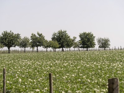 Apartment Tranquil Stay in Limburg - Environment photo 23