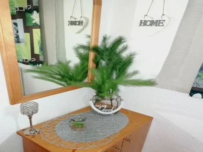 Apartment Wohnung Walchen nahe Skipisten - Outdoor photo 27