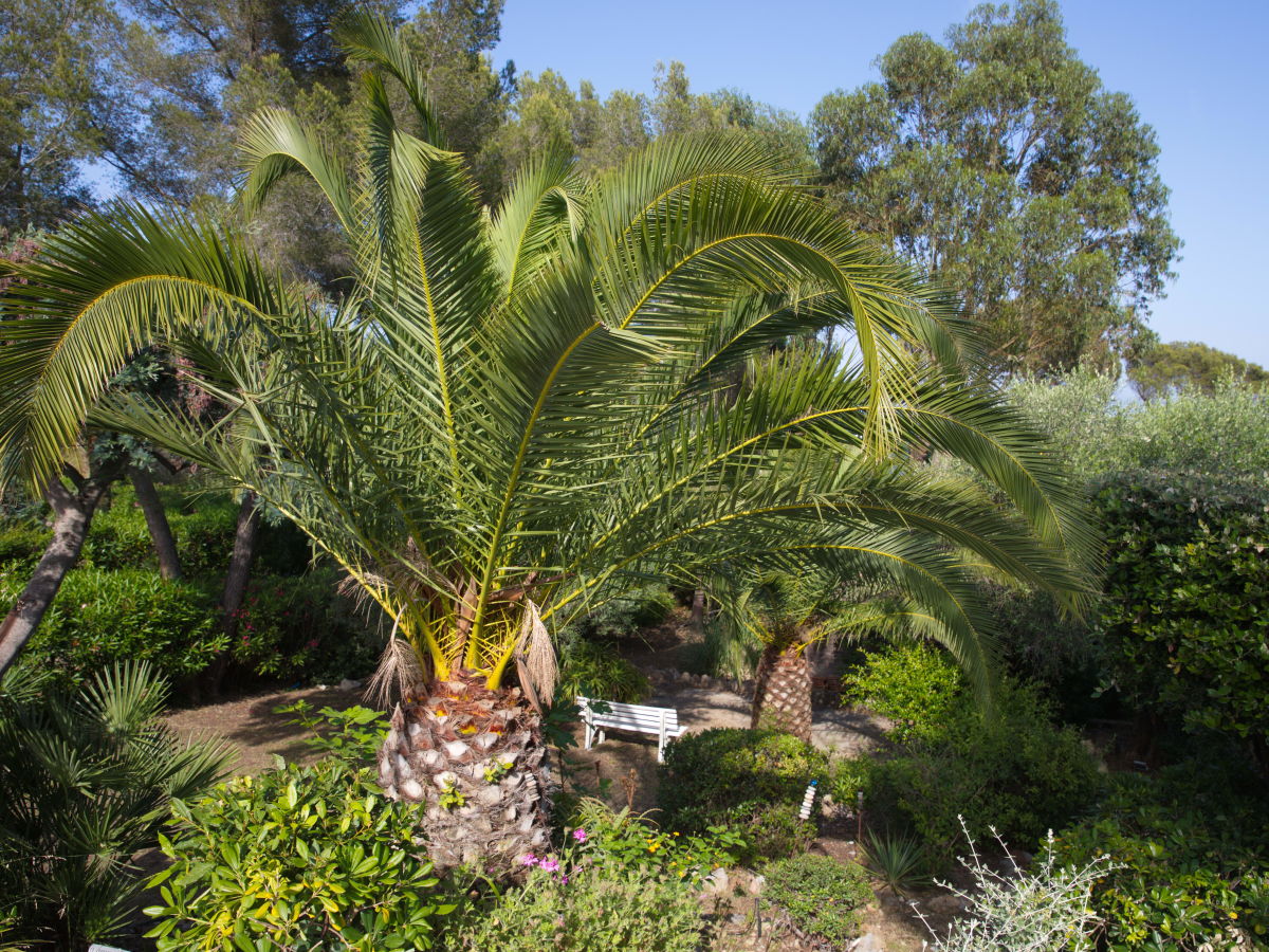 Holiday house Coeur sur Mer - Outdoor photo 5