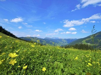 Chalet Chalet in Saalbach near Ski Lift - Environment photo 28