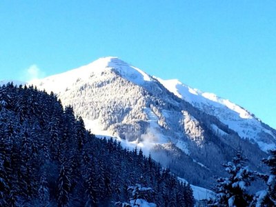 Chalet Chalet in Saalbach near Ski Lift - Environment photo 36