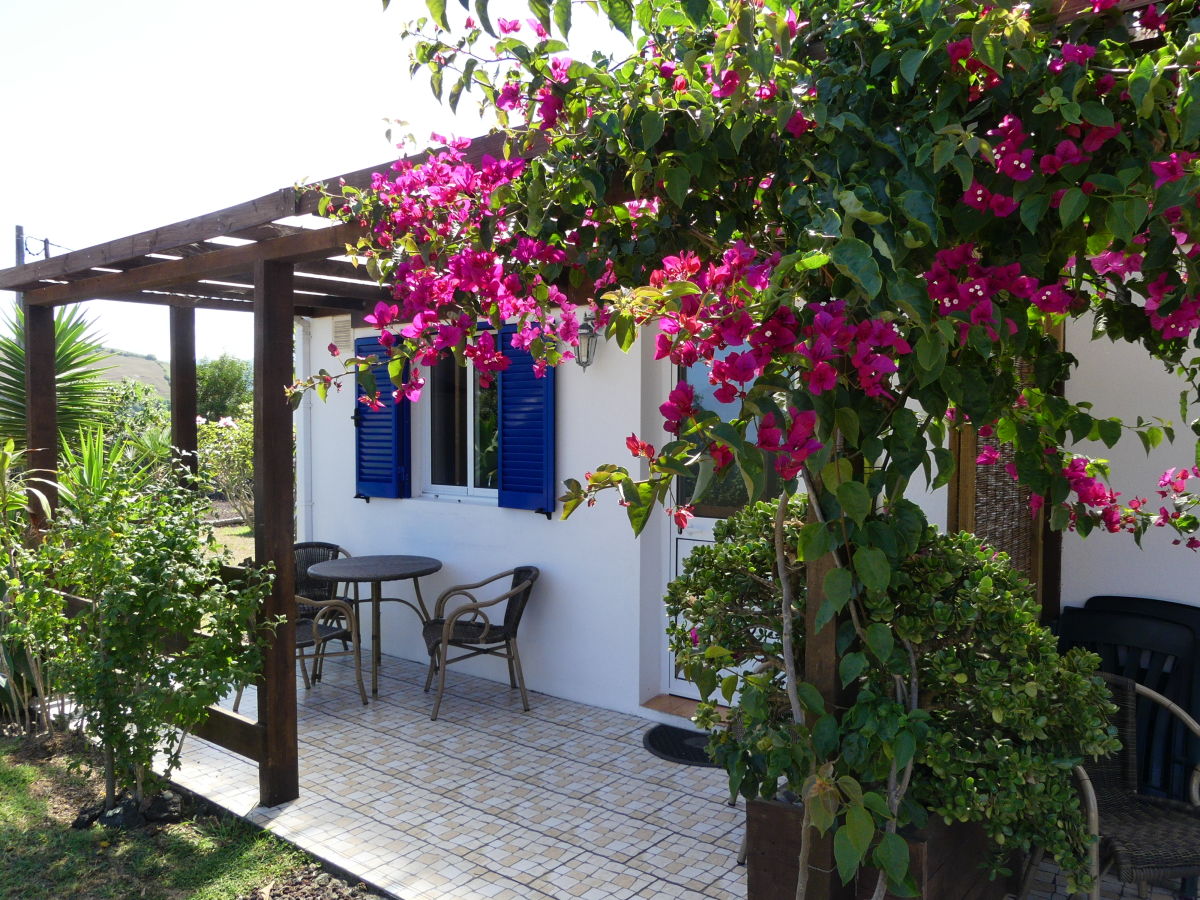 row house Casa Azul