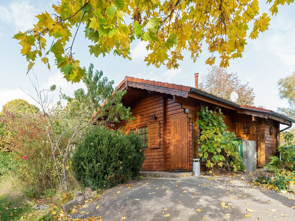 Holiday house Charmantes Ferienhaus mit eigenem Garten - Outdoor photo 3