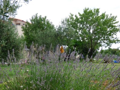 Holiday house Dama - Outdoor photo 18