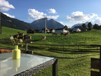 Holiday apartment Ifenblick - Outdoor photo 5