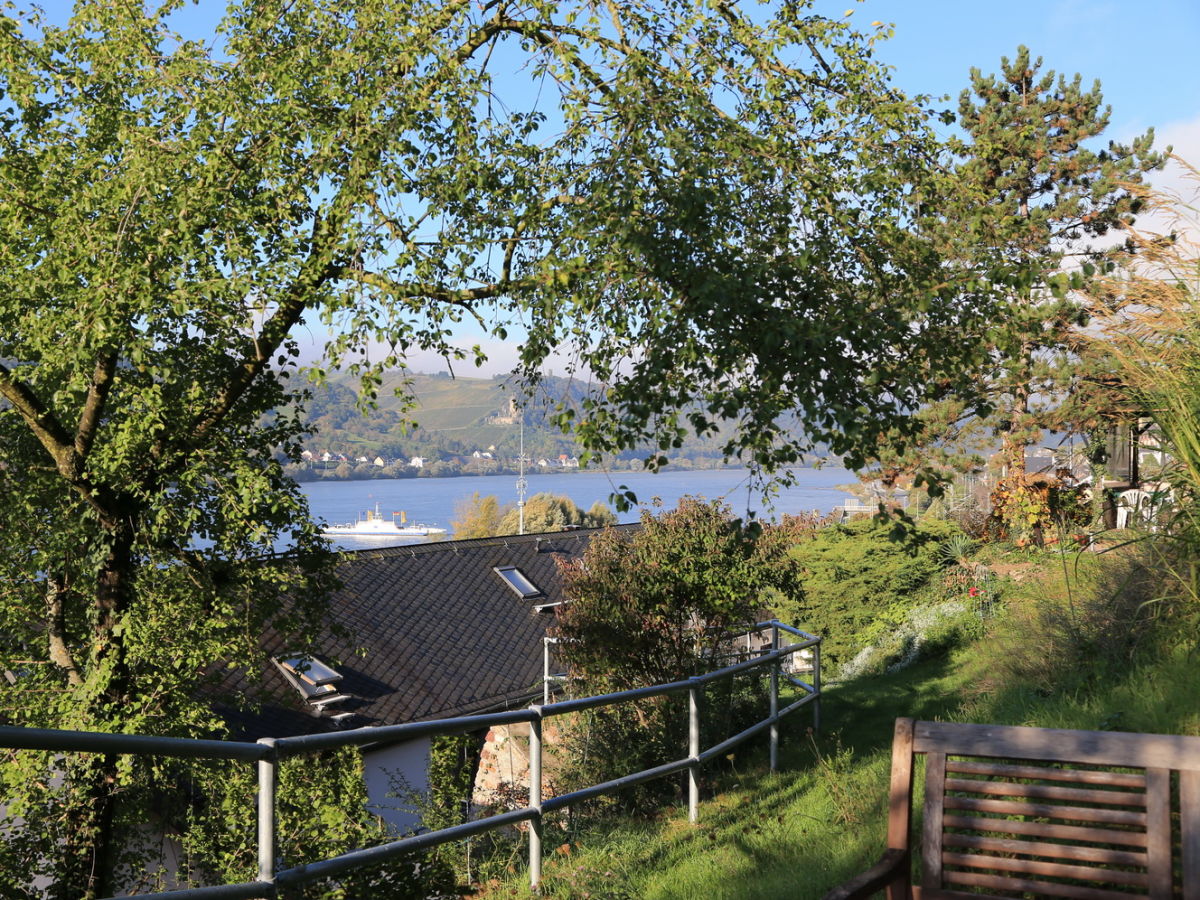Holiday apartment Riesling - Outdoor photo 3