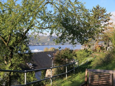 Holiday apartment Riesling - Outdoor photo 3