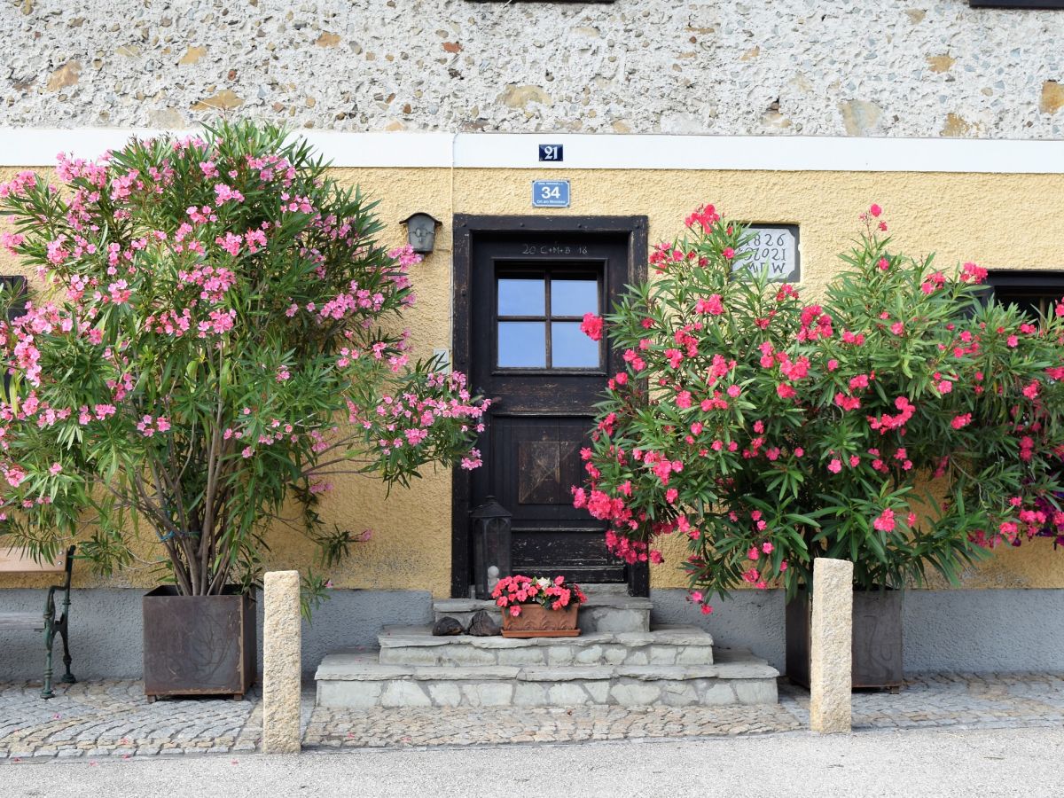 Holiday apartment Woferlbauer - Outdoor photo 4
