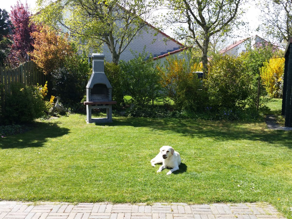 Holiday house Sommermelodie - Outdoor photo 3