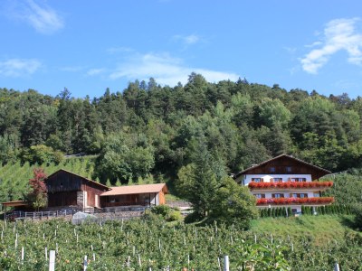 Farmhouse Masunerhof in Völs am Schlern - Farmhouse