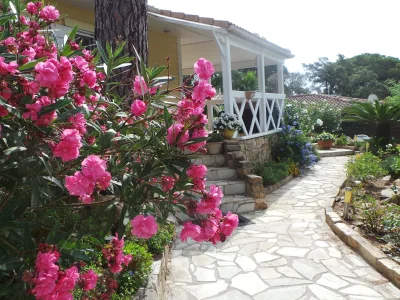 Holiday house la maison d´Oliver in Gassin - Holiday house