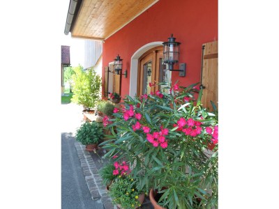Holiday apartment Garden Terra at Wurzerlhof - Outdoor photo 4