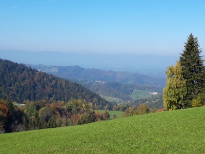 Holiday apartment Garden Terra at Wurzerlhof - Environment photo 30