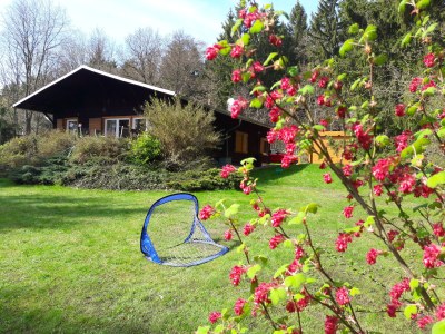 Holiday house Chalet Harmonie - Outdoor photo 7