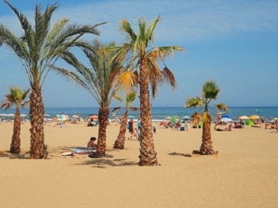 Holiday house Mas de la Mer - Environment photo 11