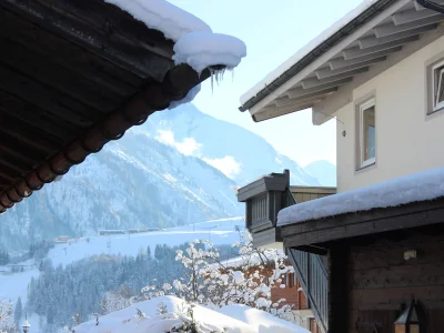 Holiday apartment Chalet Bergbach - Outdoor photo 7