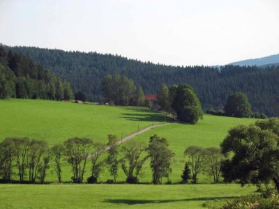 Apartment Gemütliche Wohnung in Flussnähe in Regen Bayern - Environment photo 33