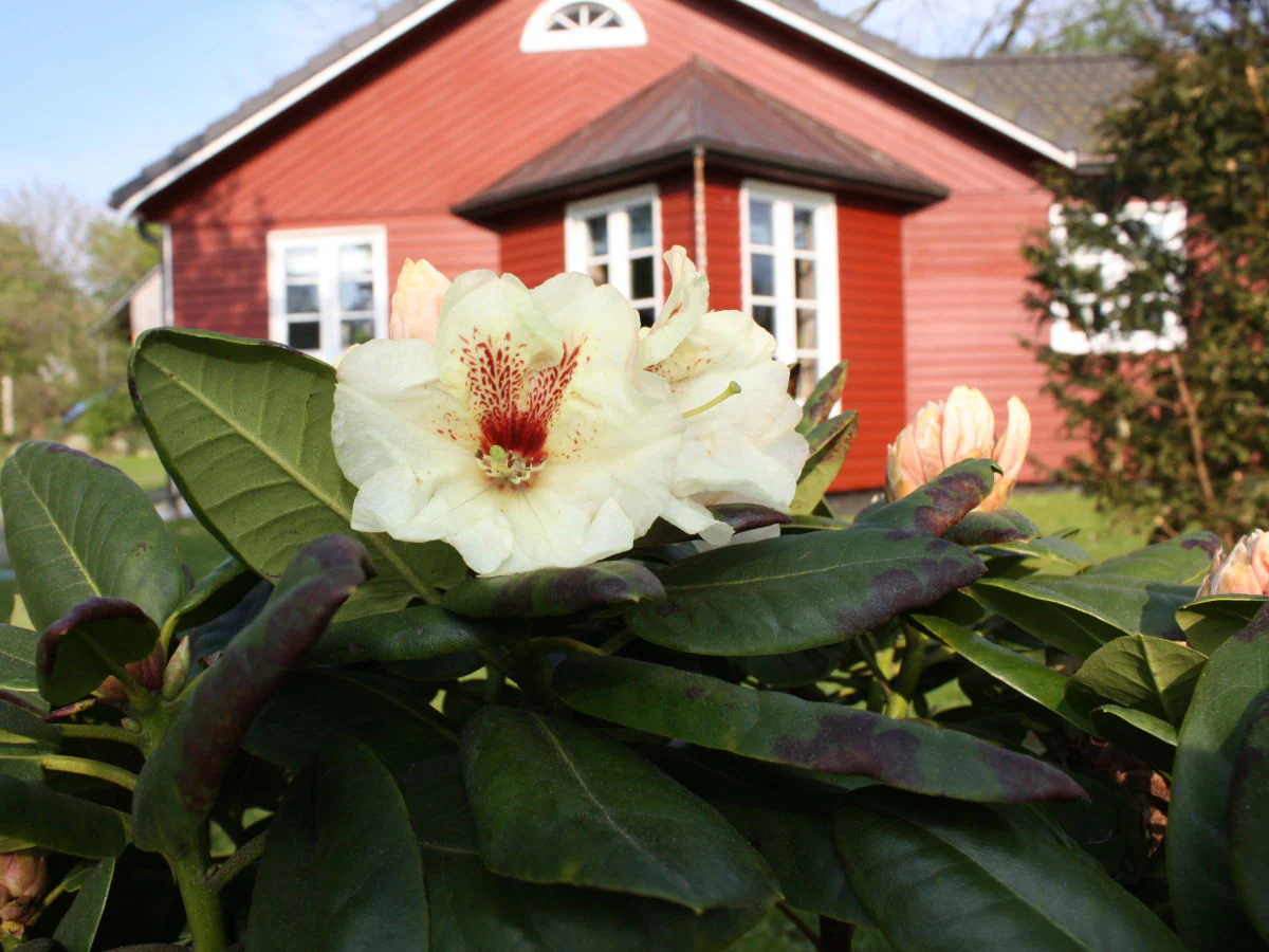 Holiday house "kleine Bucht" ("little bay")