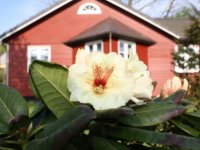 Melanie Spinger