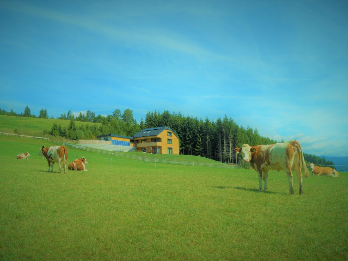 Chalet Traumblick - Outdoor photo 5