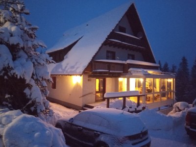 Holiday apartment Tannenzäpfle im Haslehaus - Outdoor photo 2