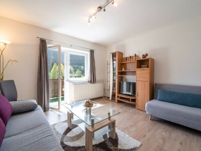 Apartment Cottage in Muhlbach near Kitzbuhel Ski Area - Features photo 12