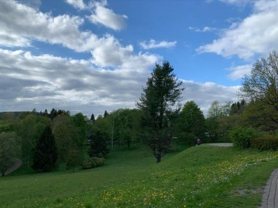 Holiday house Waldrand Braunlage Home - Environment photo 35