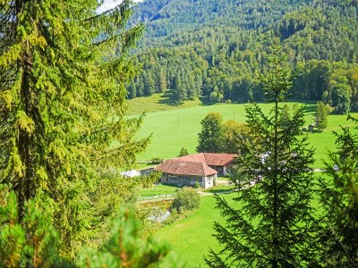 Chalet Cozy Chalet in Molln with Garden - Environment photo 17
