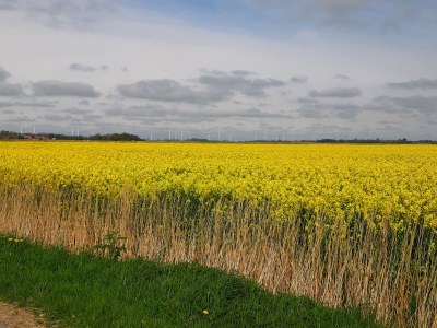 Holiday apartment Nordsee - Environment photo 31