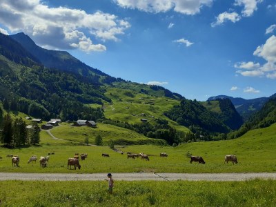 Holiday apartment Augia 1 - Environment photo 22