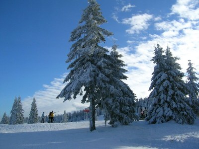 Holiday house Murst - Environment photo 29