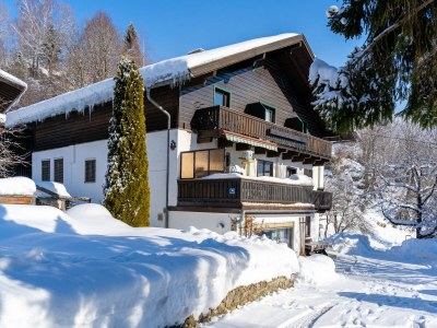 Apartment Apartment in Niedernsill with Garden Views - Outdoor photo 2