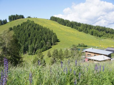 Holiday apartment - No title - - Outdoor photo 27