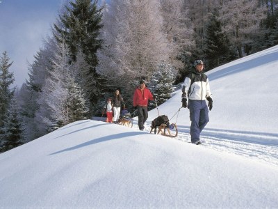 Holiday house Chalet with 2 apartments in Gasteig in Tyrol - Environment photo 38