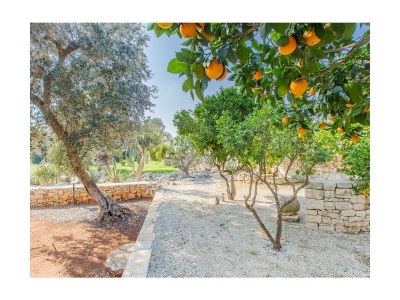 Holiday house Trullo Suenn with pool - Outdoor photo 21