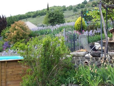 Holiday house Entspannender Rückzugsort in Saint-Pons - Outdoor photo 14