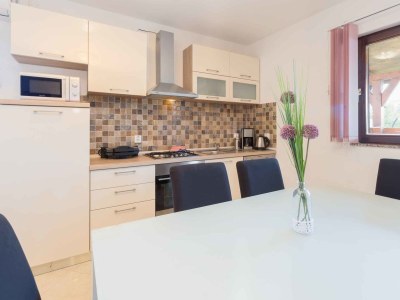 Holiday house Sejdi with private pool - Features photo 7
