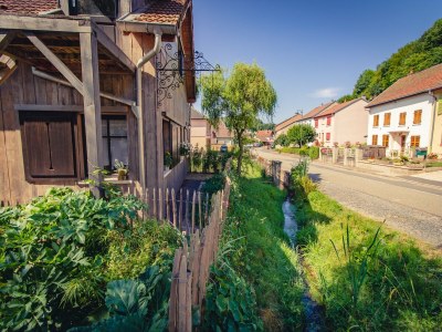 Holiday house Saint-Quirin Gartenaufenthalt - Outdoor photo 9