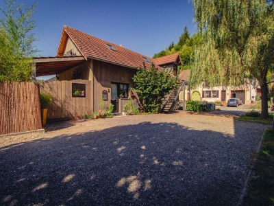 Holiday house Saint-Quirin Gartenaufenthalt - Outdoor photo 10